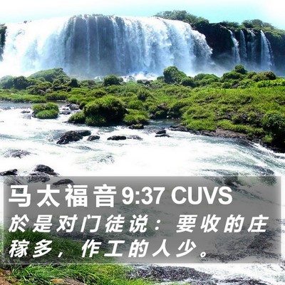 马 太 福 音 9:37 CUVS Bible Verse Image