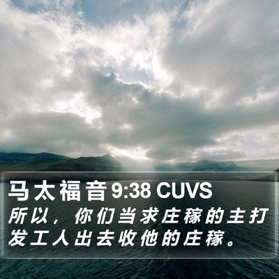 马 太 福 音 9:38 CUVS Bible Verse Image