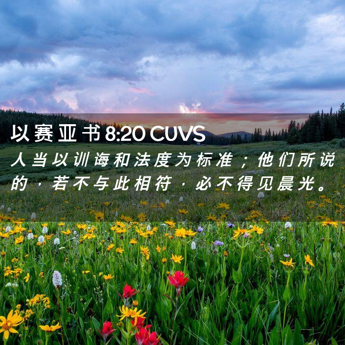 以 赛 亚 书 8:20 CUVS - 人 当 以 训 诲 和 法 度 为 标 准