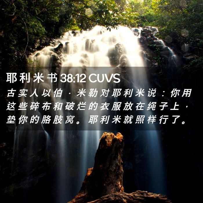 耶 利 米 书 38:12 CUVS - 古 实 人 以 伯 ． 米 勒 对 耶 利 米
