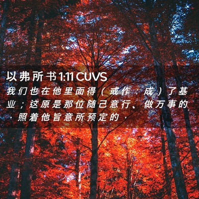 Picture 02 - 以 弗 所 书 1:11 CUVS - 我 们 也 在 他 里 面 得 （ 或 作 ： - Bible Verse Picture