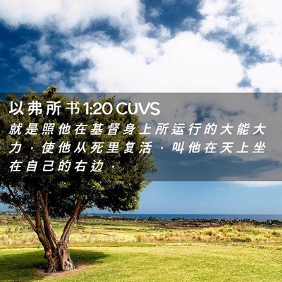 Picture 02 - 以 弗 所 书 1:20 CUVS - 就 是 照 他 在 基 督 身 上 所 运 行 - Bible Verse Picture
