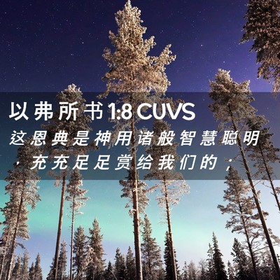 Picture 02 - 以 弗 所 书 1:8 CUVS - 这 恩 典 是 神 用 诸 般 智 慧 聪 明 - Bible Verse Picture