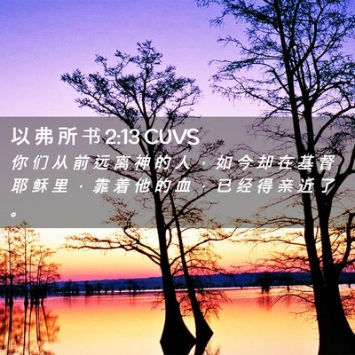 Picture 02 - 以 弗 所 书 2:13 CUVS - 你 们 从 前 远 离 神 的 人 ， 如 今 - Bible Verse Picture