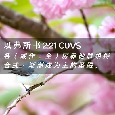 Picture 02 - 以 弗 所 书 2:21 CUVS - 各 （ 或 作 ： 全 ） 房 靠 他 联 络 - Bible Verse Picture