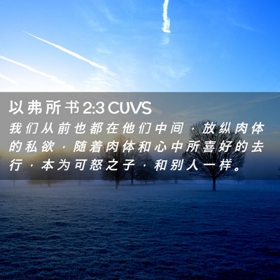 Picture 02 - 以 弗 所 书 2:3 CUVS - 我 们 从 前 也 都 在 他 们 中 间 ， - Bible Verse Picture