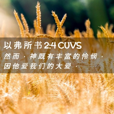 Picture 02 - 以 弗 所 书 2:4 CUVS - 然 而 ， 神 既 有 丰 富 的 怜 悯 ， - Bible Verse Picture