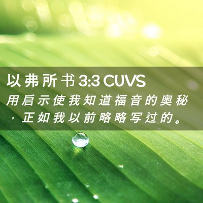 Picture 02 - 以 弗 所 书 3:3 CUVS - 用 启 示 使 我 知 道 福 音 的 奥 秘 - Bible Verse Picture