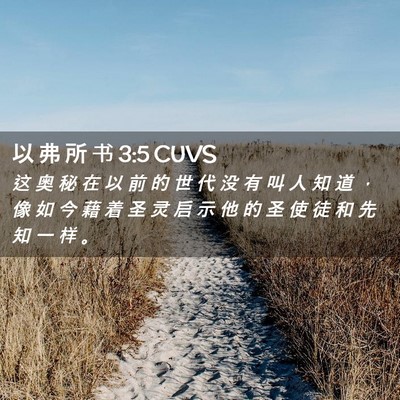 Picture 02 - 以 弗 所 书 3:5 CUVS - 这 奥 秘 在 以 前 的 世 代 没 有 叫 - Bible Verse Picture