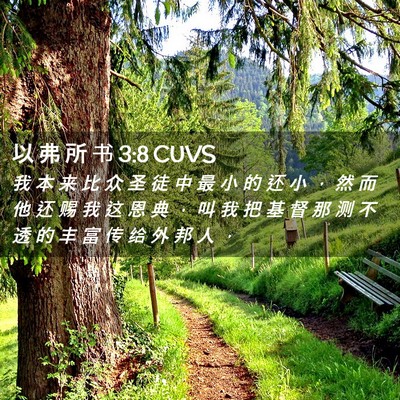 Picture 02 - 以 弗 所 书 3:8 CUVS - 我 本 来 比 众 圣 徒 中 最 小 的 还 - Bible Verse Picture