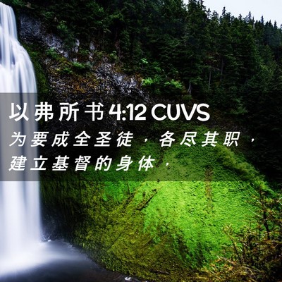 Picture 02 - 以 弗 所 书 4:12 CUVS - 为 要 成 全 圣 徒 ， 各 尽 其 职 ， - Bible Verse Picture