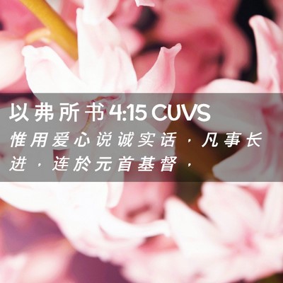 Picture 02 - 以 弗 所 书 4:15 CUVS - 惟 用 爱 心 说 诚 实 话 ， 凡 事 长 - Bible Verse Picture