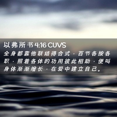 Picture 02 - 以 弗 所 书 4:16 CUVS - 全 身 都 靠 他 联 络 得 合 式 ， 百 - Bible Verse Picture