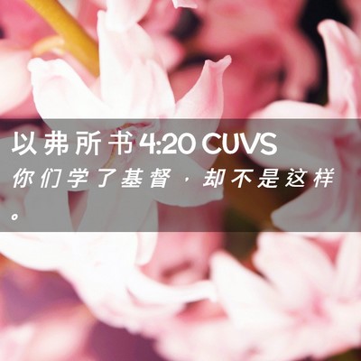 Picture 02 - 以 弗 所 书 4:20 CUVS - 你 们 学 了 基 督 ， 却 不 是 这 样 - Bible Verse Picture
