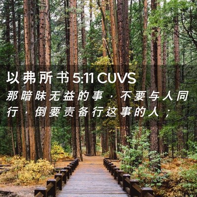 Picture 02 - 以 弗 所 书 5:11 CUVS - 那 暗 昧 无 益 的 事 ， 不 要 与 人 - Bible Verse Picture
