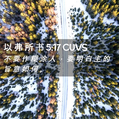 Picture 02 - 以 弗 所 书 5:17 CUVS - 不 要 作 糊 涂 人 ， 要 明 白 主 的 - Bible Verse Picture
