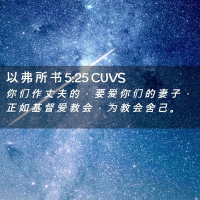Picture 02 - 以 弗 所 书 5:25 CUVS - 你 们 作 丈 夫 的 ， 要 爱 你 们 的 - Bible Verse Picture
