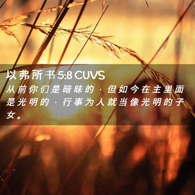 Picture 02 - 以 弗 所 书 5:8 CUVS - 从 前 你 们 是 暗 昧 的 ， 但 如 今 - Bible Verse Picture