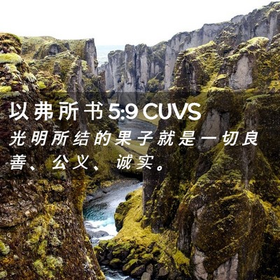 Picture 02 - 以 弗 所 书 5:9 CUVS - 光 明 所 结 的 果 子 就 是 一 切 良 - Bible Verse Picture
