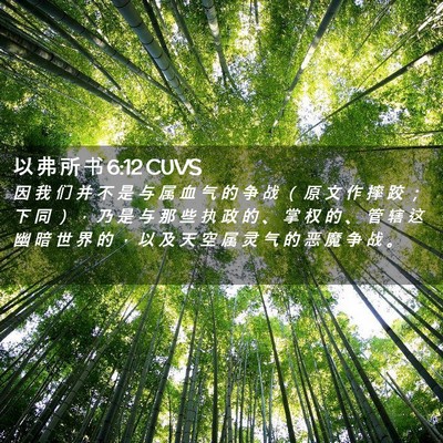 Picture 02 - 以 弗 所 书 6:12 CUVS - 因 我 们 并 不 是 与 属 血 气 的 争 - Bible Verse Picture