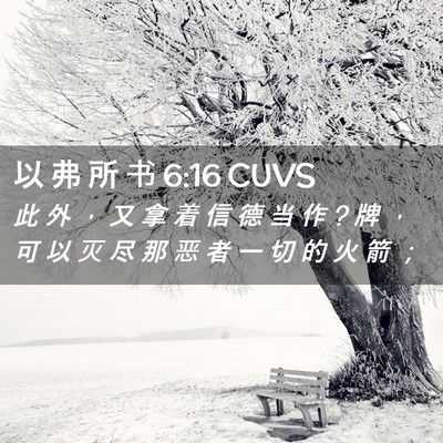 Picture 02 - 以 弗 所 书 6:16 CUVS - 此 外 ， 又 拿 着 信 德 当 作 ? 牌 ， - Bible Verse Picture
