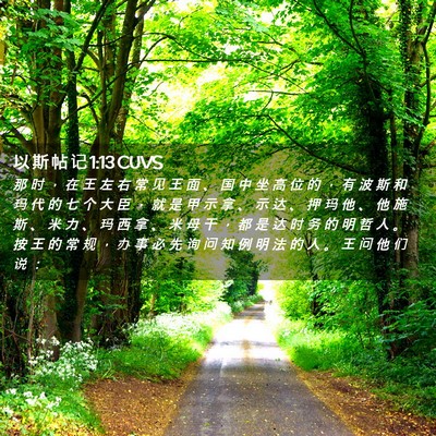 Picture 02 - 以 斯 帖 记 1:13 CUVS - 那 时 ， 在 王 左 右 常 见 王 面 、 - Bible Verse Picture