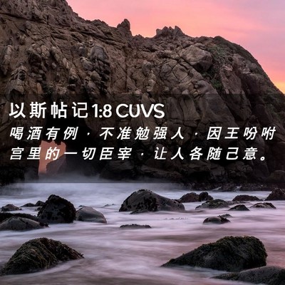 Picture 02 - 以 斯 帖 记 1:8 CUVS - 喝 酒 有 例 ， 不 准 勉 强 人 ， 因 - Bible Verse Picture