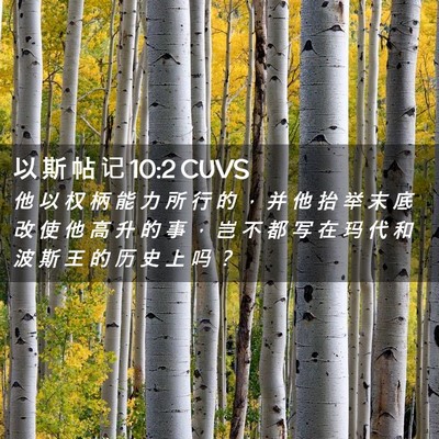Picture 02 - 以 斯 帖 记 10:2 CUVS - 他 以 权 柄 能 力 所 行 的 ， 并 他 - Bible Verse Picture