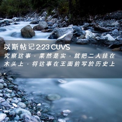 Picture 02 - 以 斯 帖 记 2:23 CUVS - 究 察 这 事 ， 果 然 是 实 ， 就 把 - Bible Verse Picture