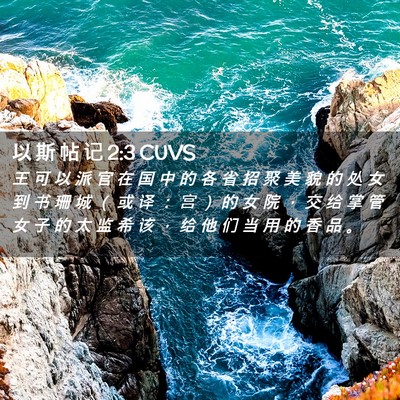 Picture 02 - 以 斯 帖 记 2:3 CUVS - 王 可 以 派 官 在 国 中 的 各 省 招 - Bible Verse Picture