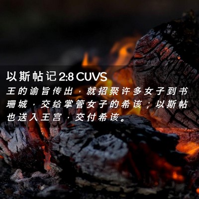 Picture 02 - 以 斯 帖 记 2:8 CUVS - 王 的 谕 旨 传 出 ， 就 招 聚 许 多 - Bible Verse Picture