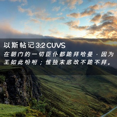 Picture 02 - 以 斯 帖 记 3:2 CUVS - 在 朝 门 的 一 切 臣 仆 都 跪 拜 哈 - Bible Verse Picture