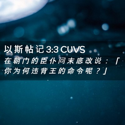 Picture 02 - 以 斯 帖 记 3:3 CUVS - 在 朝 门 的 臣 仆 问 末 底 改 说 ： - Bible Verse Picture