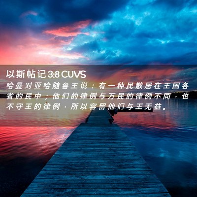 Picture 02 - 以 斯 帖 记 3:8 CUVS - 哈 曼 对 亚 哈 随 鲁 王 说 ： 有 一 - Bible Verse Picture