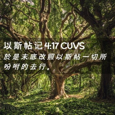 Picture 02 - 以 斯 帖 记 4:17 CUVS - 於 是 末 底 改 照 以 斯 帖 一 切 所 - Bible Verse Picture