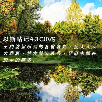 Picture 02 - 以 斯 帖 记 4:3 CUVS - 王 的 谕 旨 所 到 的 各 省 各 处 ， - Bible Verse Picture