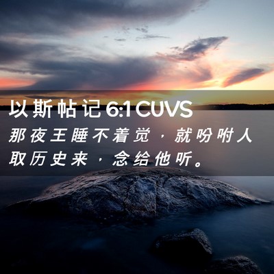 Picture 02 - 以 斯 帖 记 6:1 CUVS - 那 夜 王 睡 不 着 觉 ， 就 吩 咐 人 - Bible Verse Picture