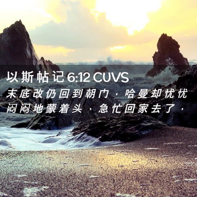 Picture 02 - 以 斯 帖 记 6:12 CUVS - 末 底 改 仍 回 到 朝 门 ， 哈 曼 却 - Bible Verse Picture