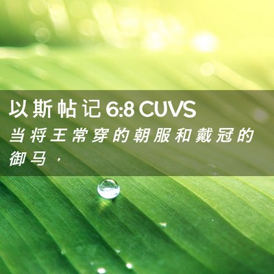 Picture 02 - 以 斯 帖 记 6:8 CUVS - 当 将 王 常 穿 的 朝 服 和 戴 冠 的 - Bible Verse Picture
