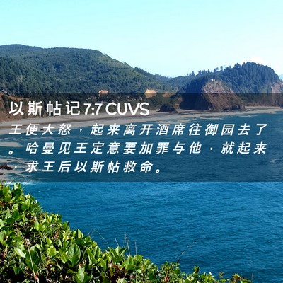 Picture 02 - 以 斯 帖 记 7:7 CUVS - 王 便 大 怒 ， 起 来 离 开 酒 席 往 - Bible Verse Picture