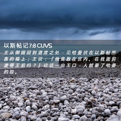 Picture 02 - 以 斯 帖 记 7:8 CUVS - 王 从 御 园 回 到 酒 席 之 处 ， 见 - Bible Verse Picture