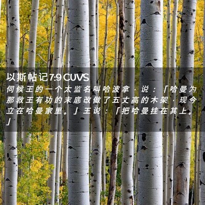 Picture 02 - 以 斯 帖 记 7:9 CUVS - 伺 候 王 的 一 个 太 监 名 叫 哈 波 - Bible Verse Picture
