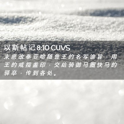 Picture 02 - 以 斯 帖 记 8:10 CUVS - 末 底 改 奉 亚 哈 随 鲁 王 的 名 写 - Bible Verse Picture