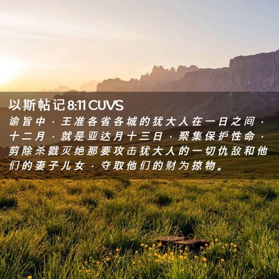 Picture 02 - 以 斯 帖 记 8:11 CUVS - 谕 旨 中 ， 王 准 各 省 各 城 的 犹 - Bible Verse Picture