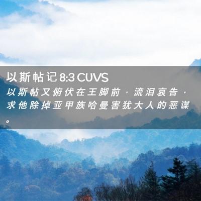 Picture 02 - 以 斯 帖 记 8:3 CUVS - 以 斯 帖 又 俯 伏 在 王 脚 前 ， 流 - Bible Verse Picture