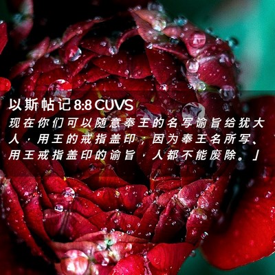 Picture 02 - 以 斯 帖 记 8:8 CUVS - 现 在 你 们 可 以 随 意 奉 王 的 名 - Bible Verse Picture