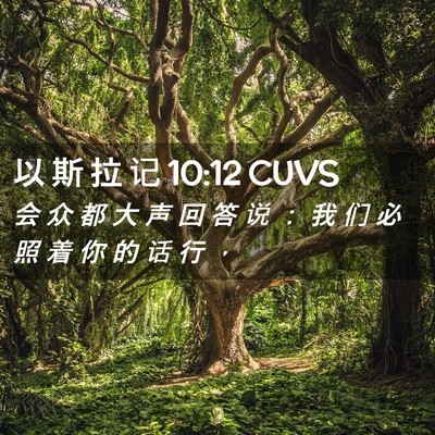 Picture 02 - 以 斯 拉 记 10:12 CUVS - 会 众 都 大 声 回 答 说 ： 我 们 必 - Bible Verse Picture