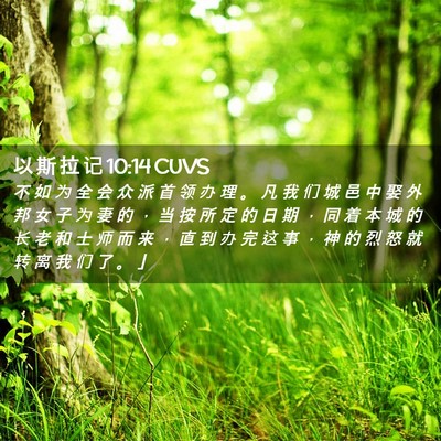 Picture 02 - 以 斯 拉 记 10:14 CUVS - 不 如 为 全 会 众 派 首 领 办 理 。 - Bible Verse Picture