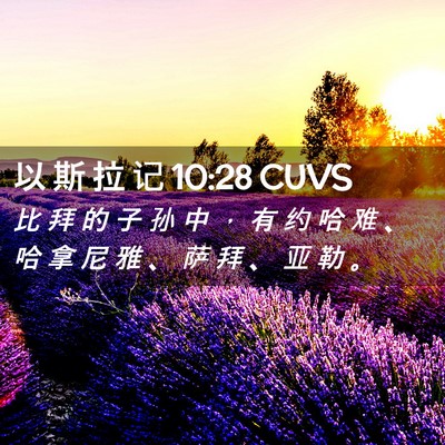 Picture 02 - 以 斯 拉 记 10:28 CUVS - 比 拜 的 子 孙 中 ， 有 约 哈 难 、 - Bible Verse Picture