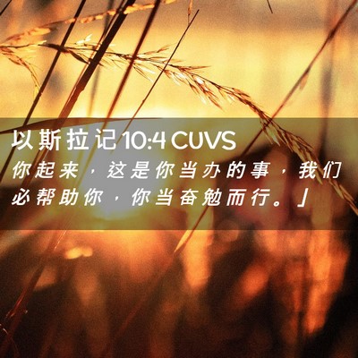 Picture 02 - 以 斯 拉 记 10:4 CUVS - 你 起 来 ， 这 是 你 当 办 的 事 ， - Bible Verse Picture